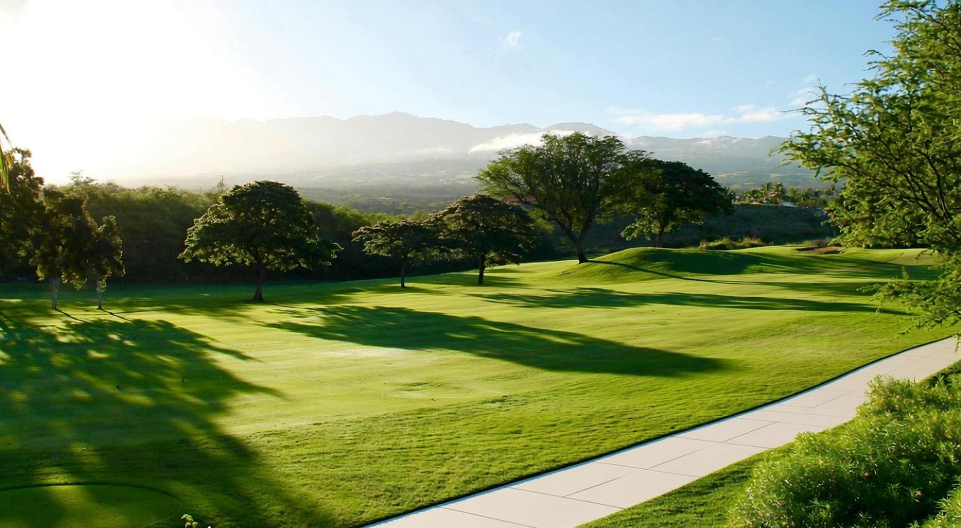 Golf cart path cleaning